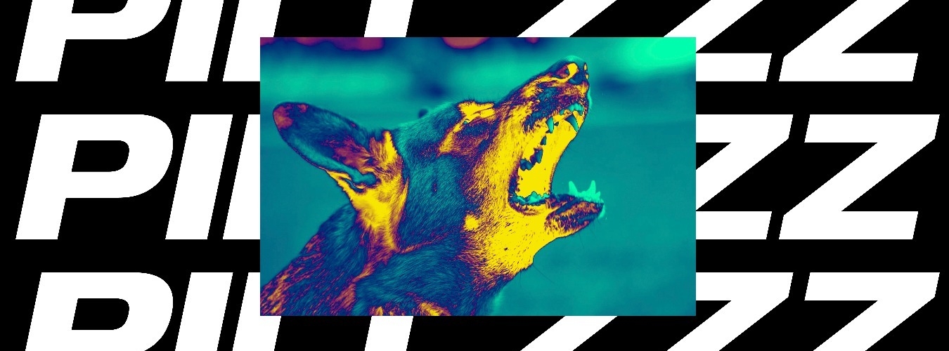 PILLZZZ #02: Raw Souljas Worldwide + West Dubai image