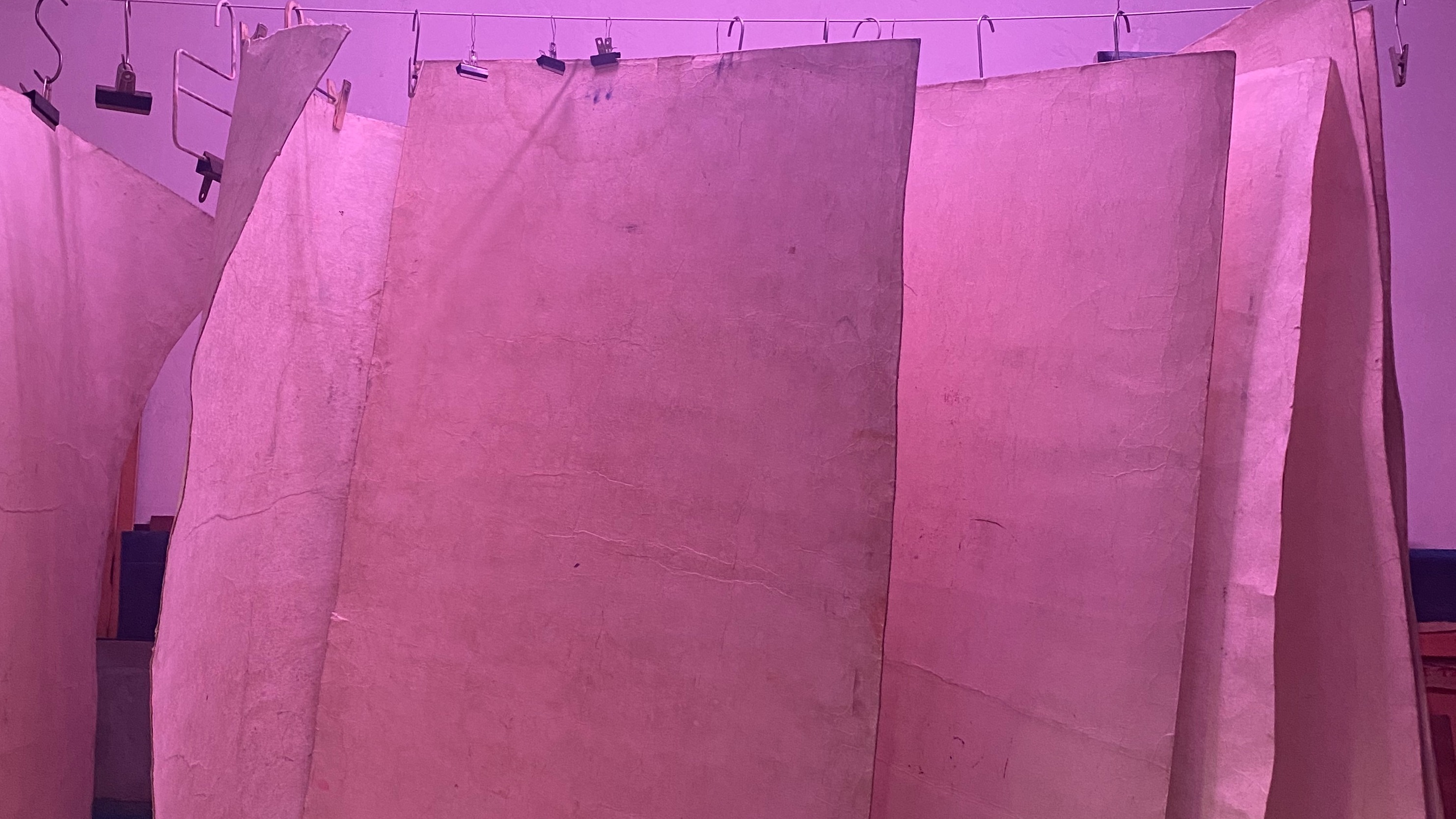 Plexxo's Private Collectors Dinner image