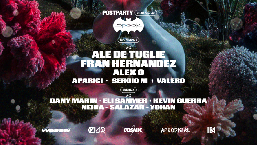 Post Party Mar Electronic @ Spook  image