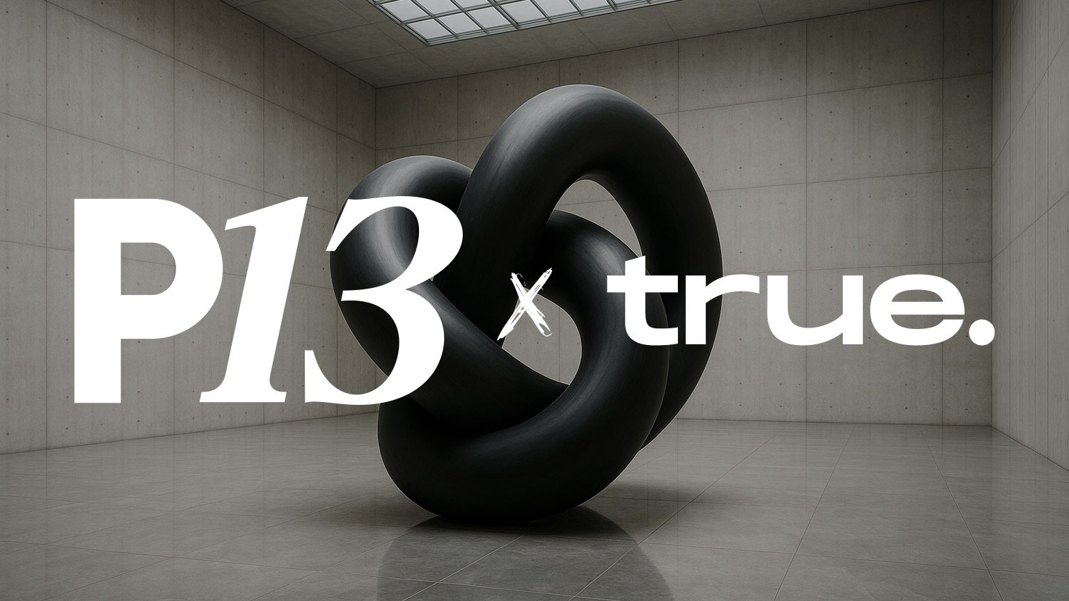 PROJECT13 X TRUE: AVAR GARDEN, KNODER, MARÍA DE LA C, CAZORLA Y ONAOX image