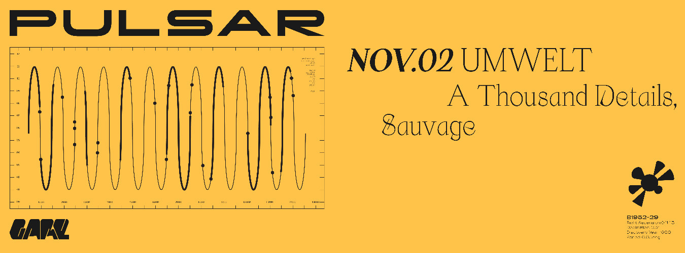 Pulsar w/ Umwelt, AThousand Details, Sauvage