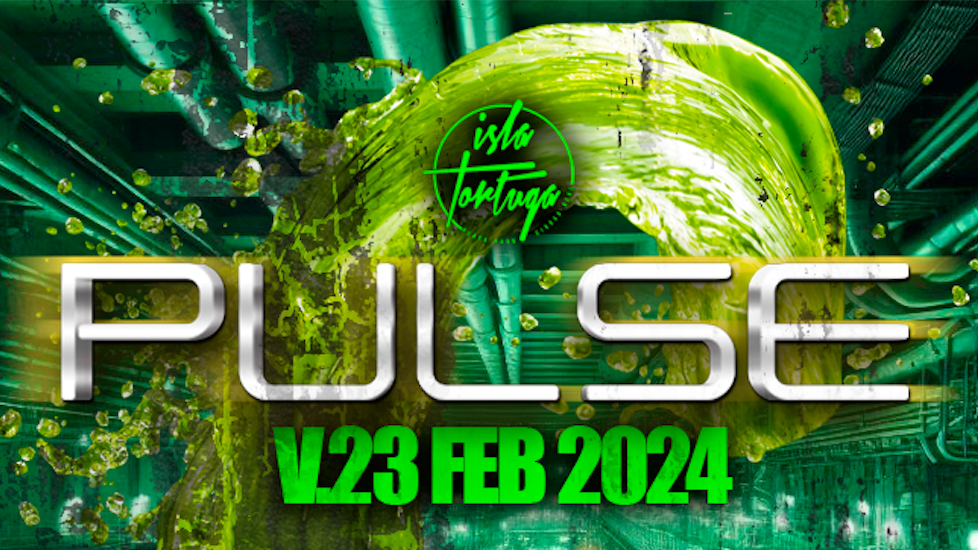 PULSE FEBRERO 2024
