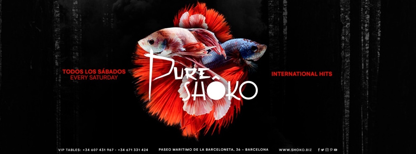 Pure Shoko | Tony Storella & Papis