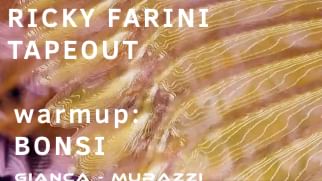Cover for event: RICKY FARINI, TAPEOUT & BONSI (warmup)