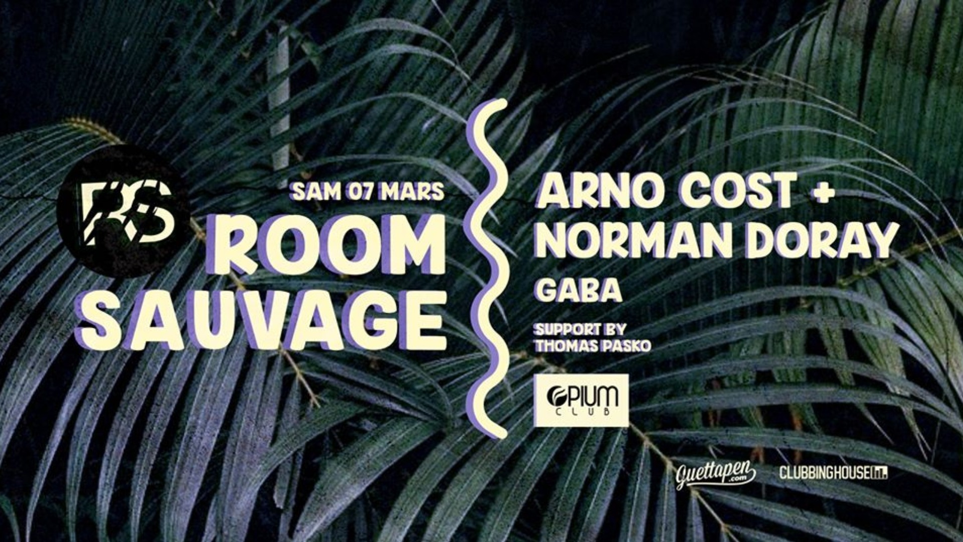 Room Sauvage - Arno Cost & Norman Doray image