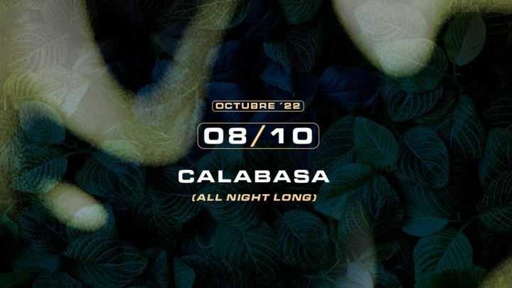 Cover for event: Roots w/ Calabasa (All Night Long)