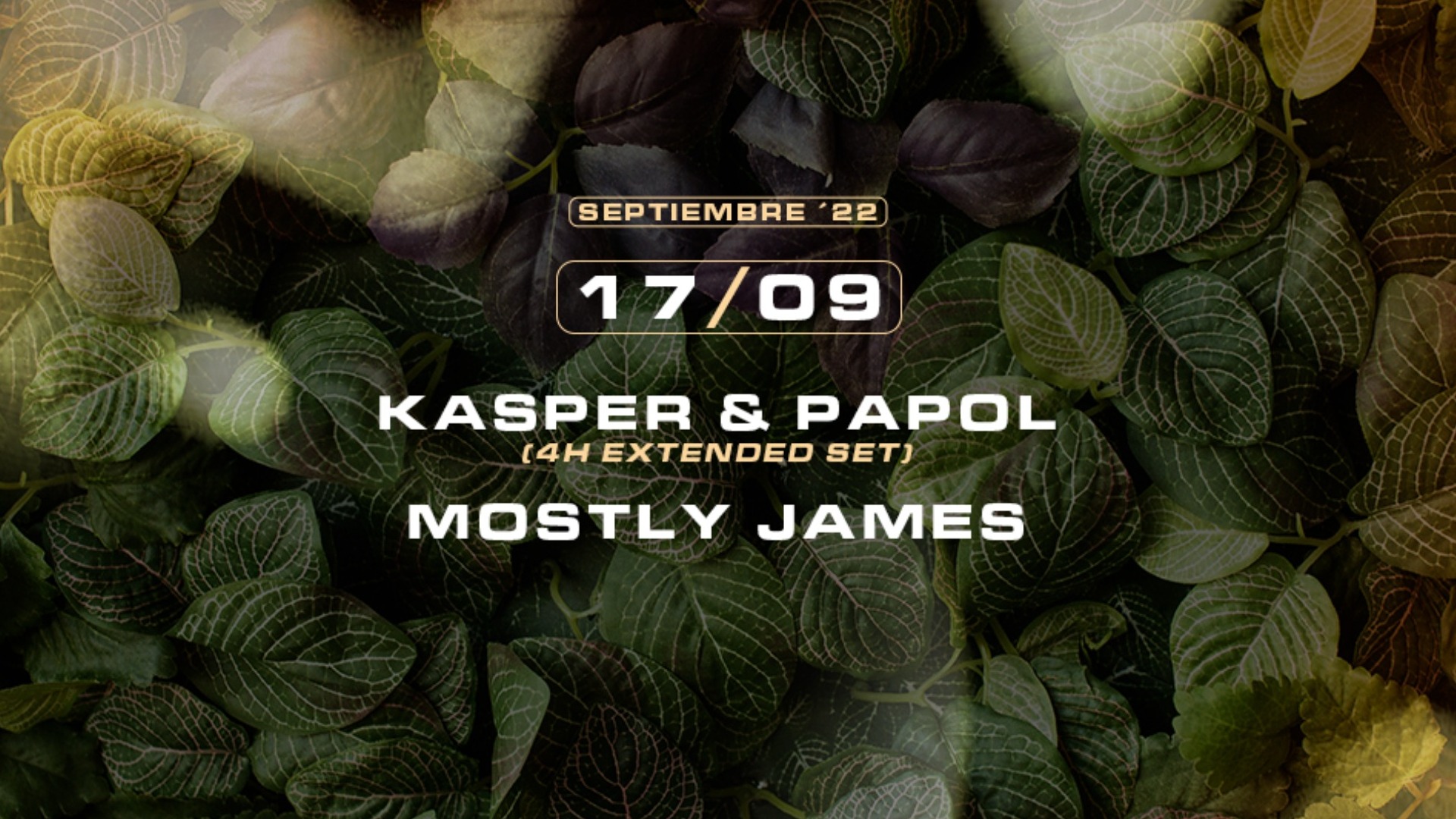 Roots w/ Kasper & Papol (4h Extended Set) + Mostly James image