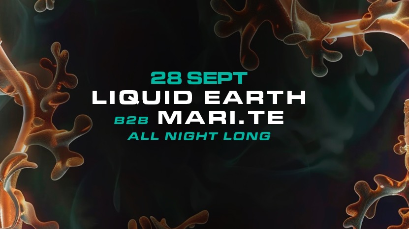 Roots w/ Liquid Earth B2B Mari.te (All Night Long)  image