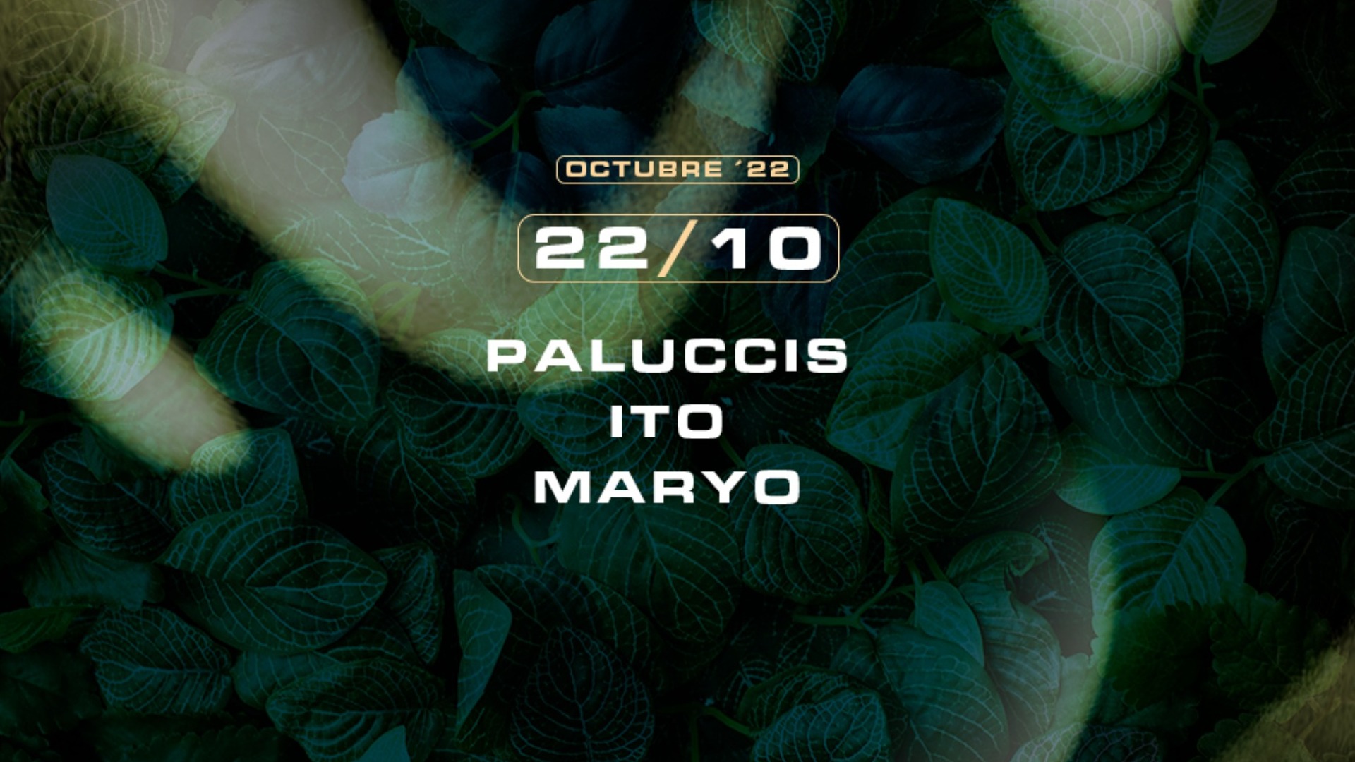 Roots w/ Paluccis + ITO + Maryo image