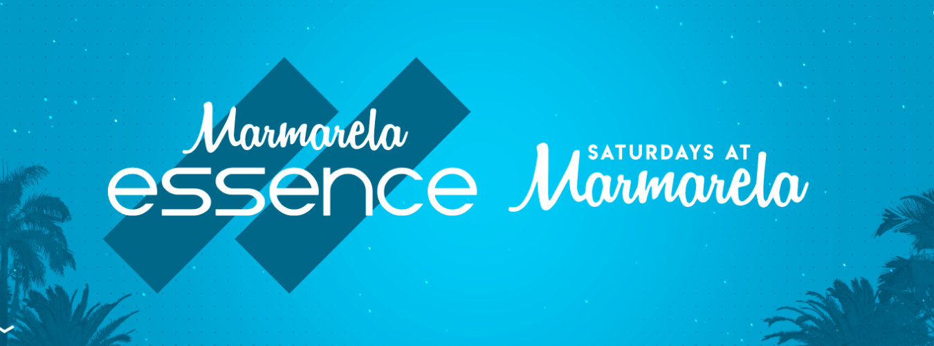 S29 Opening Main Room INDOOR image