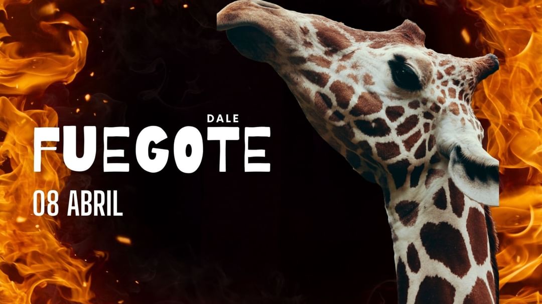 Capa do evento ¡DALE, FUEGOTE! | 08 ABRIL