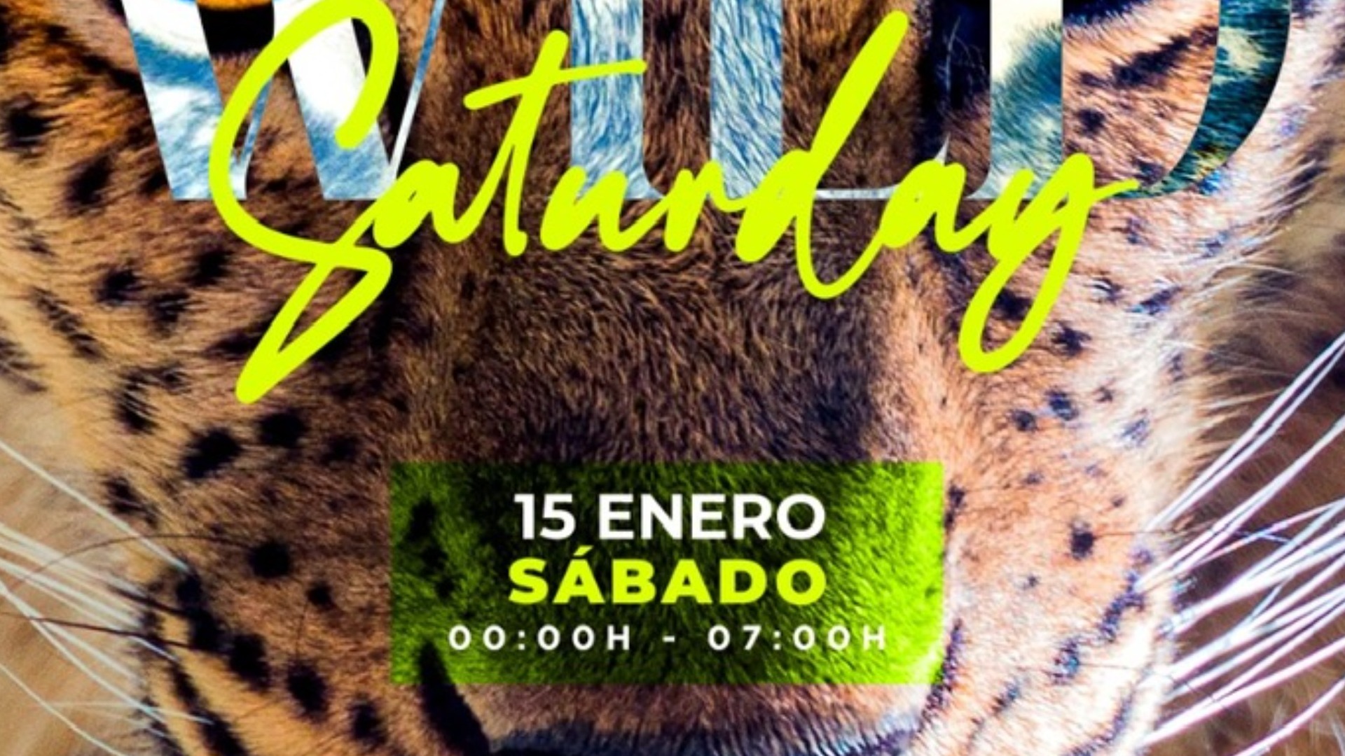 SABANA - SABADO 15 ENERO
