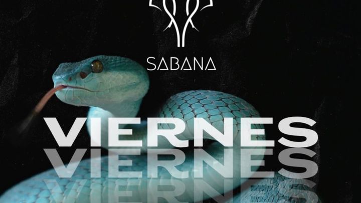 Cover for event: SABANA - VIERNES 2 DICIEMBRE
