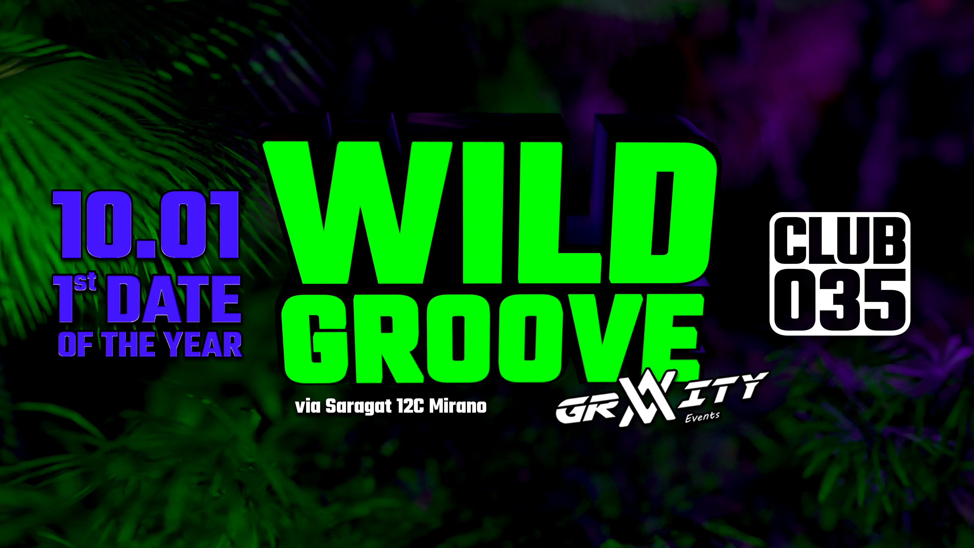 Sabato 10 gennaio - WILD GROOVE image