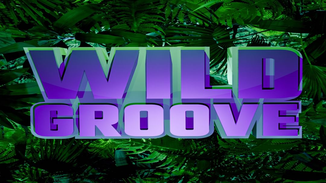 Cartell de l'esdeveniment Sabato 22 Marzo - Wild Groove