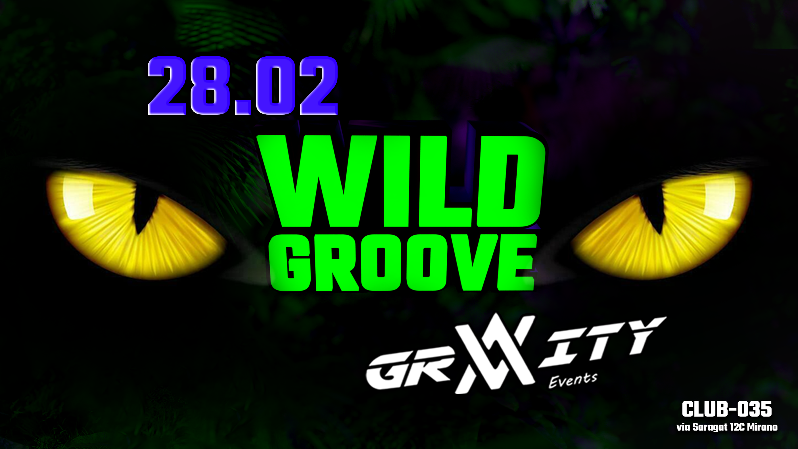 Sabato 28 febbraio - WILD GROOVE image