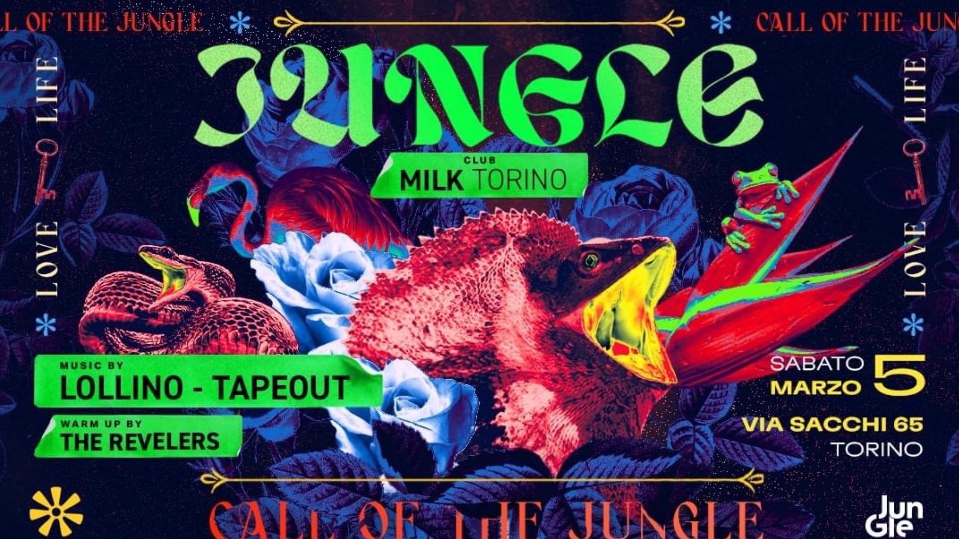 Sabato 5 Marzo JUNGLE @ MILK TORINO image