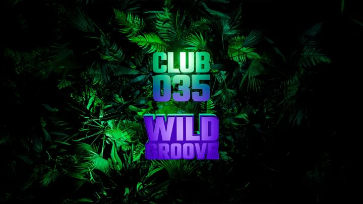 Cover for event: Sabato 8 Febbraio - Wild Groove