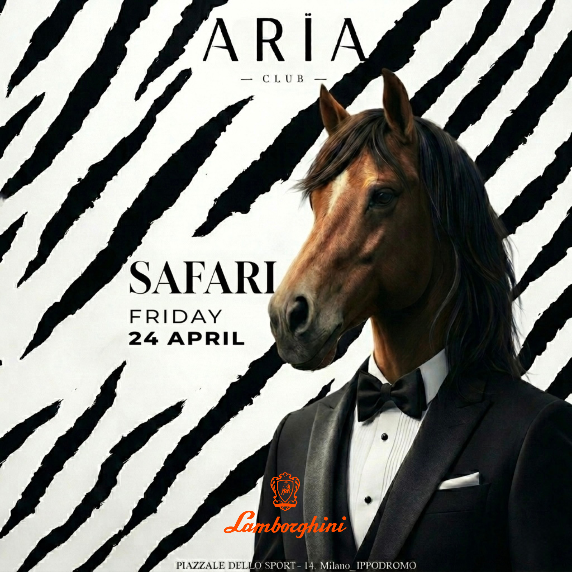 Safari Friday Night image
