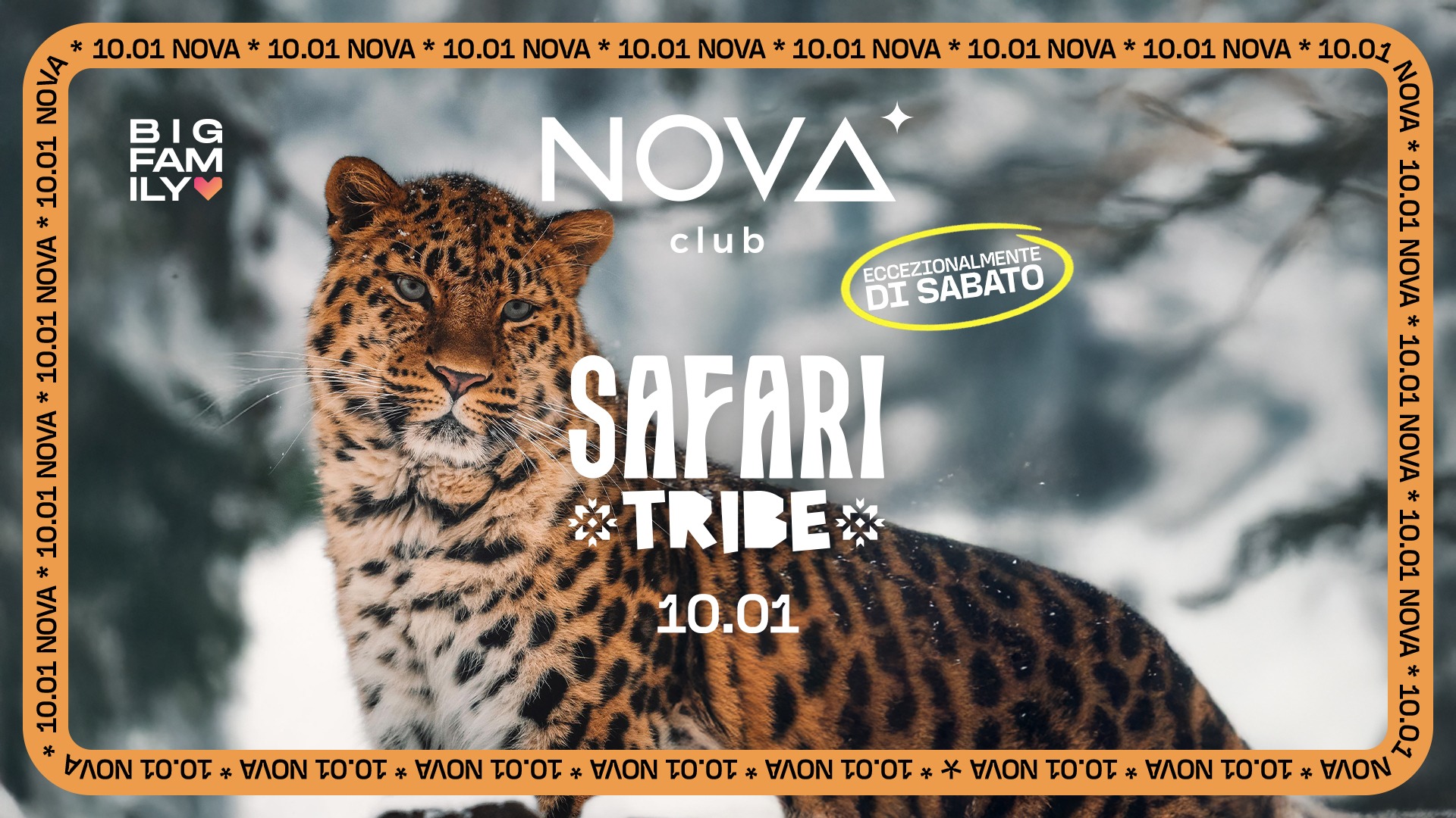 SAFARI TRIBE - SAB 10 GEN image