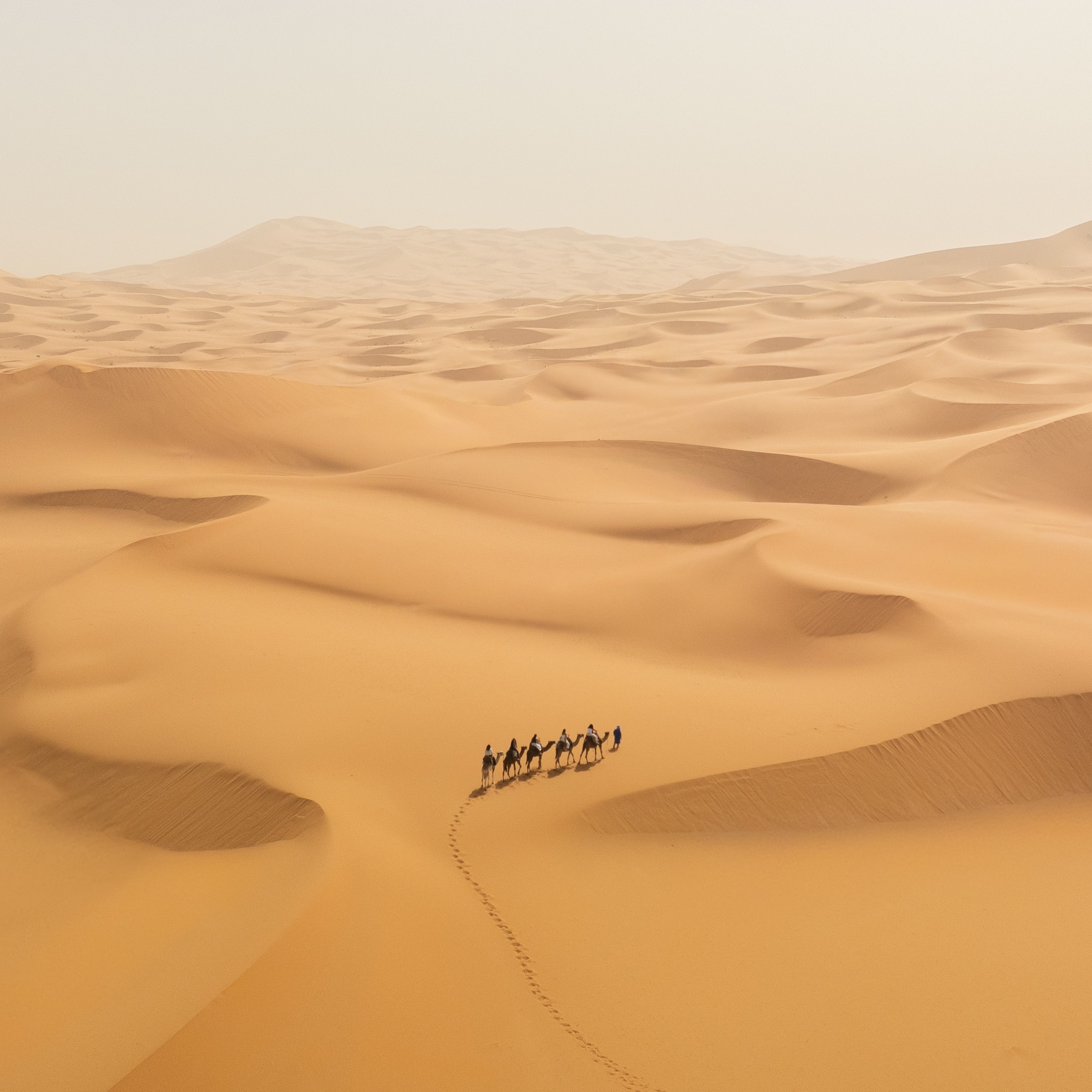SAHARA EXPERIENCE by @viajeenmarruecos | March 10–14, 2026  image