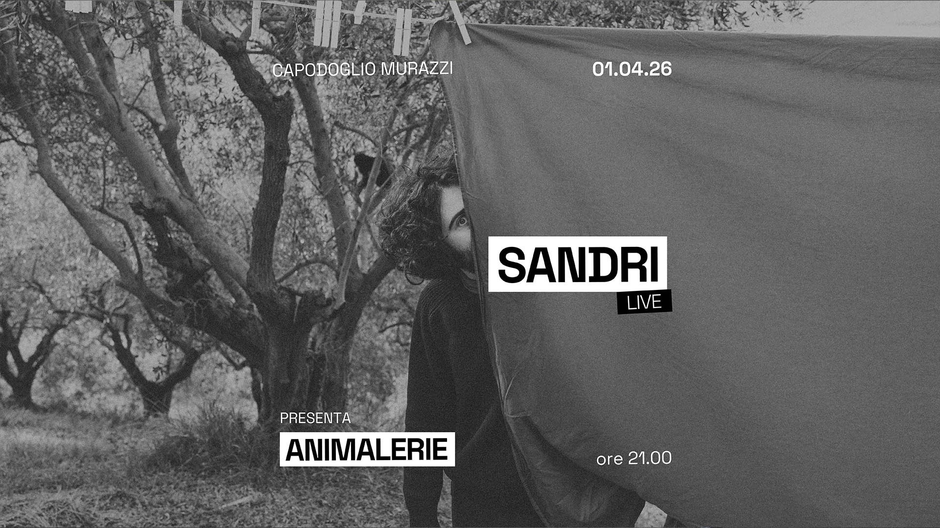 SANDRI ✷ ANIMALERIE TOUR ✷ Capodoglio image