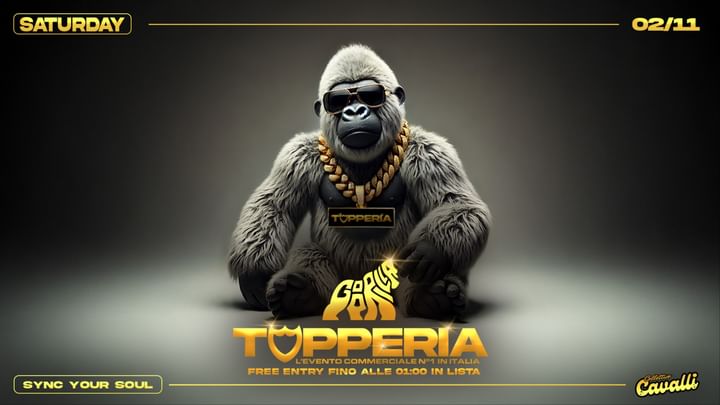 Cover for event: Sat 02.11 • TOPPERIA