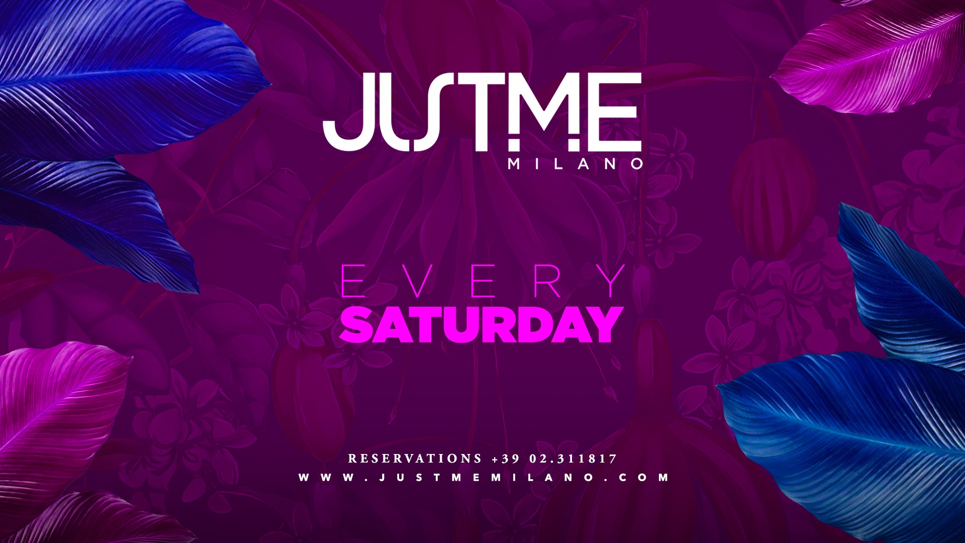 Saturday Night image