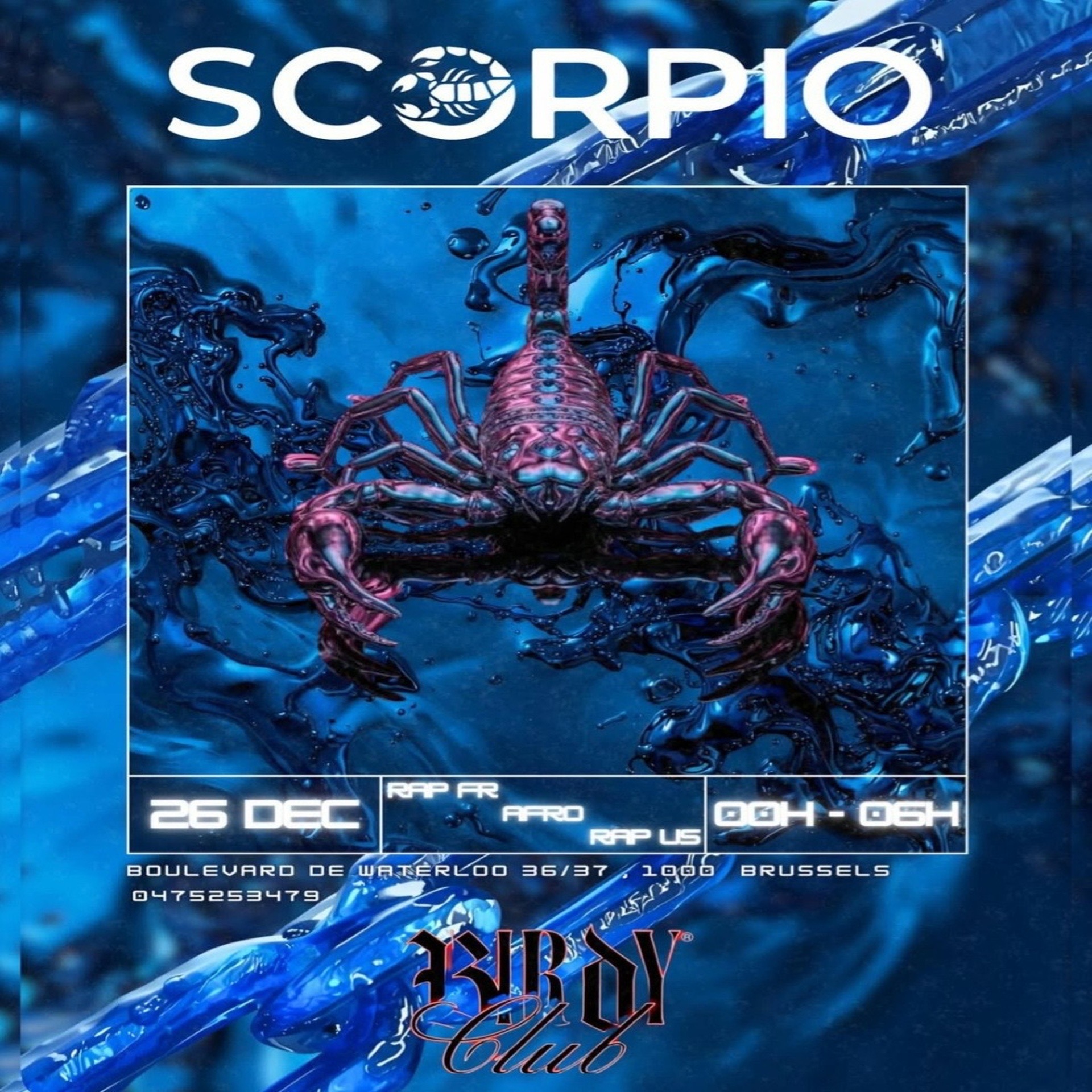 SCORPIO X BIRDY  image