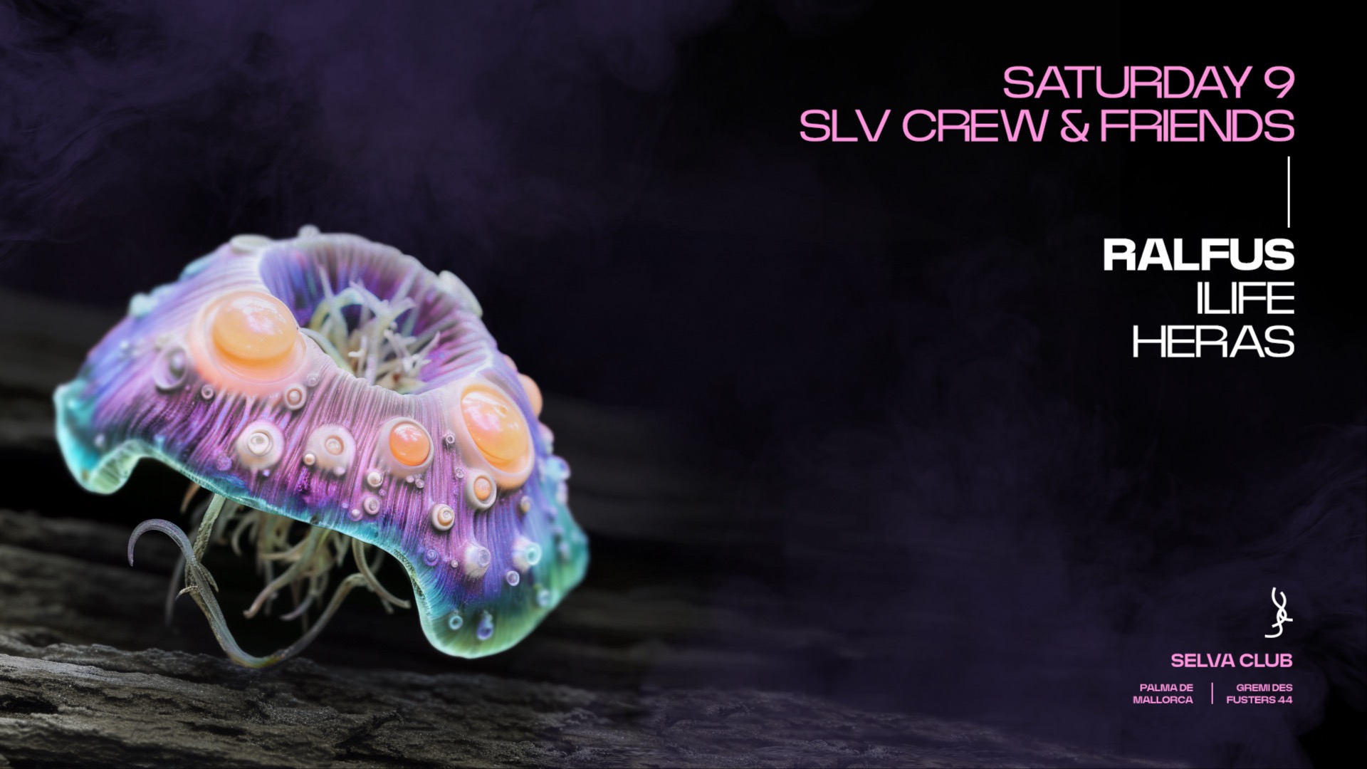 SELVA CREW & FRIENDS at SELVA CLUB image