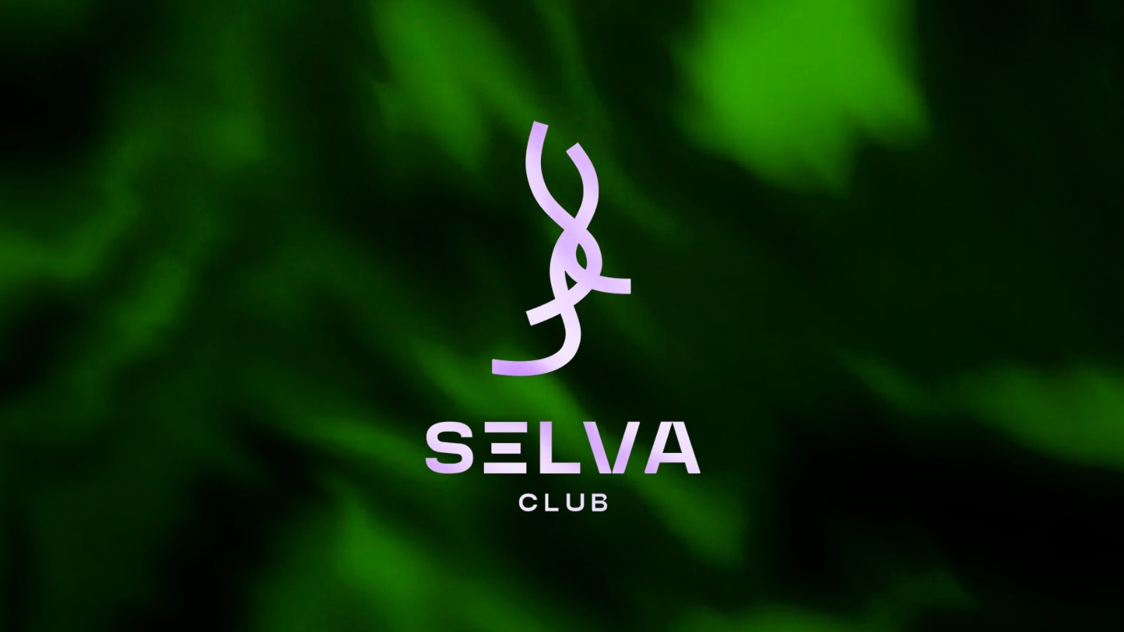 SELVA Pres. "HEAVEN" image