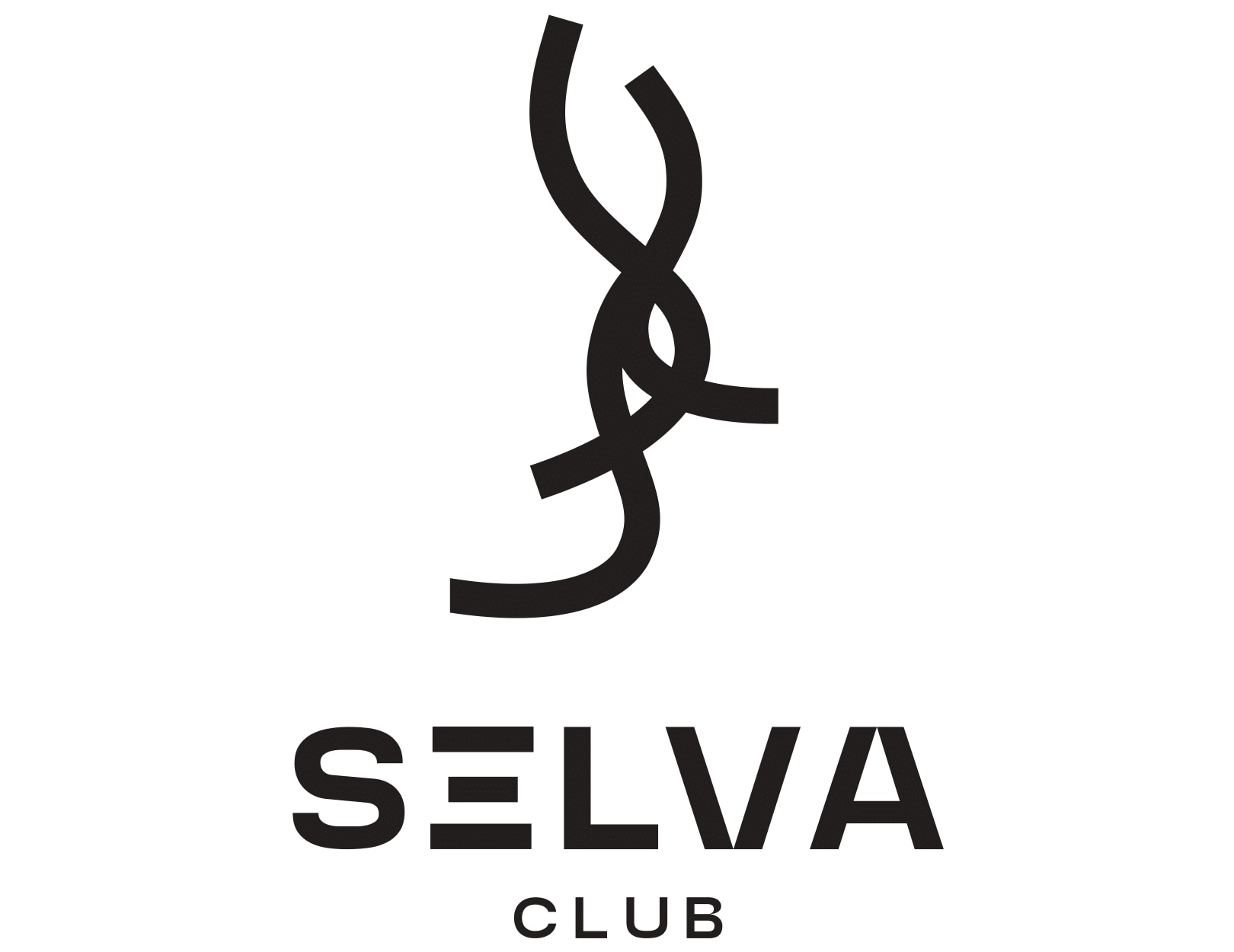 SELVA Press “Birthday Special” image