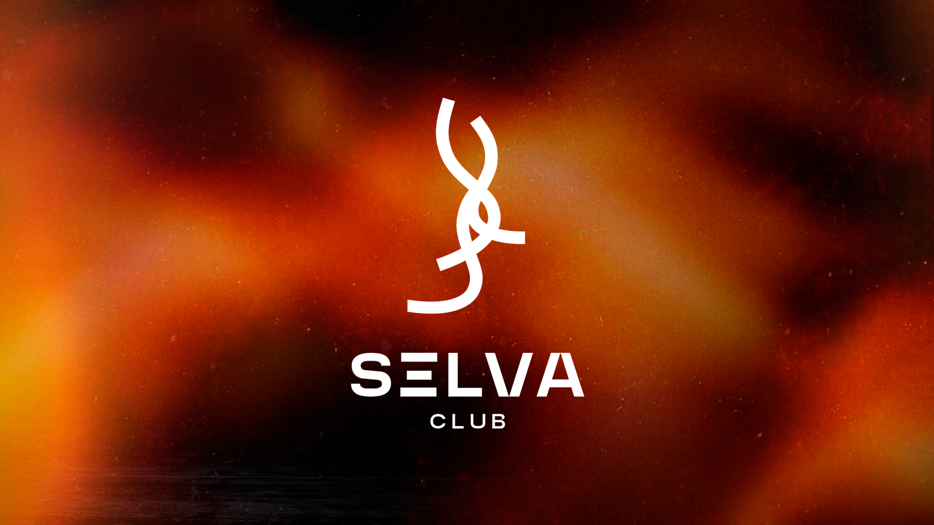 SELVA Press "House Club" image
