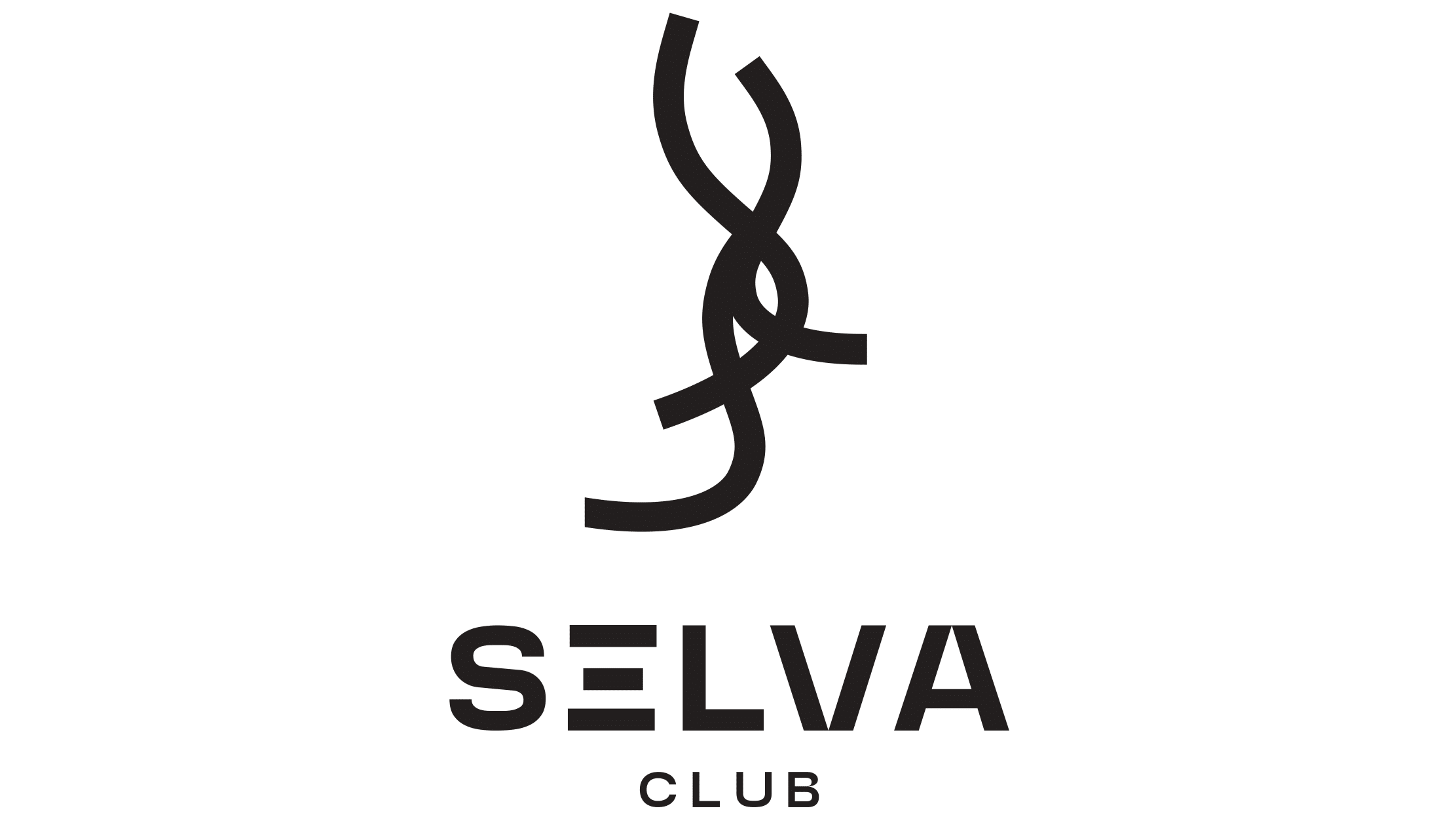 SELVA Press “Vinyl Night” image