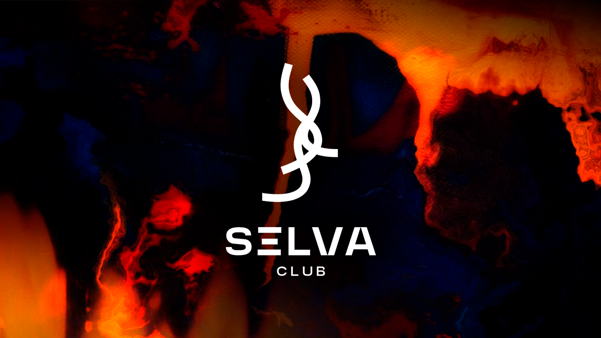 SELVA SPECIAL w/Anthony Rother (Hybrid Set) image