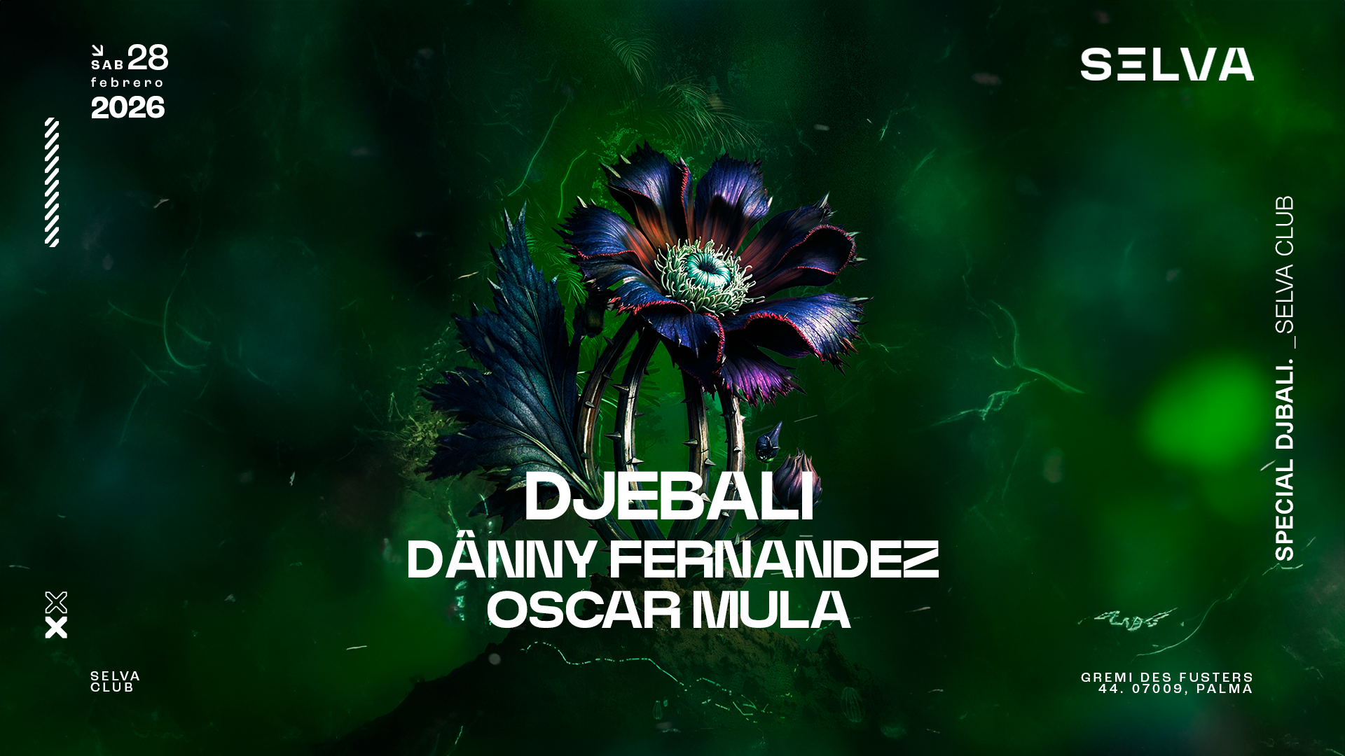 SELVA Special w/Djebali image