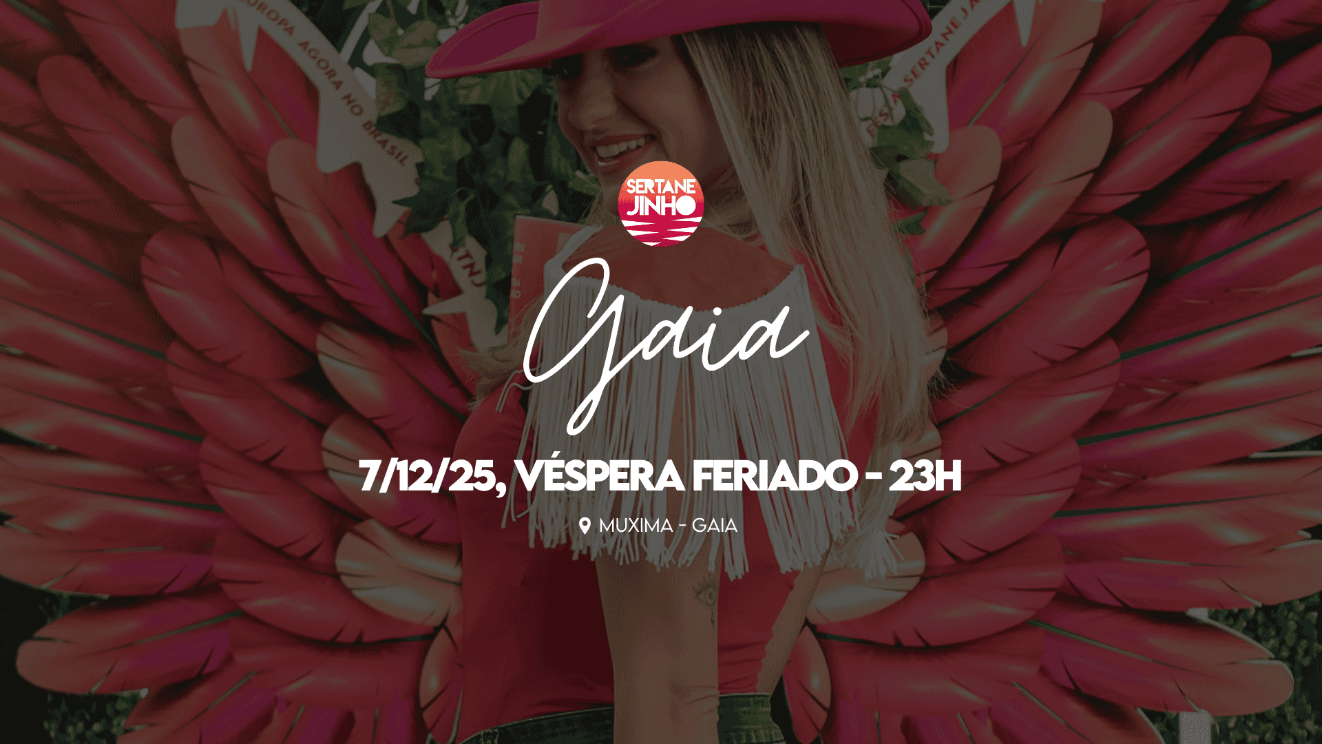 Sertanejinho Gaia (Porto) image