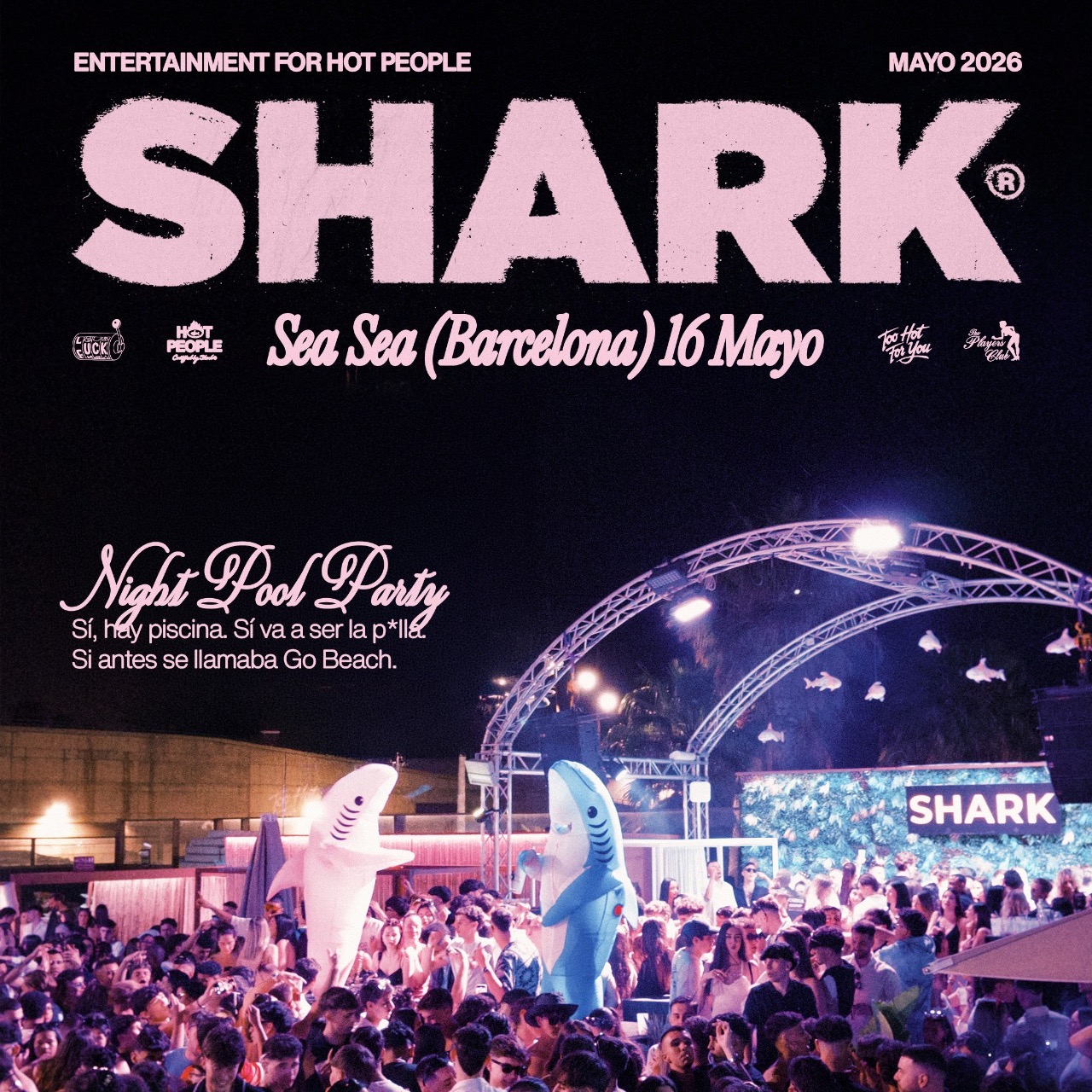 SHARK 00:00-06:00H image