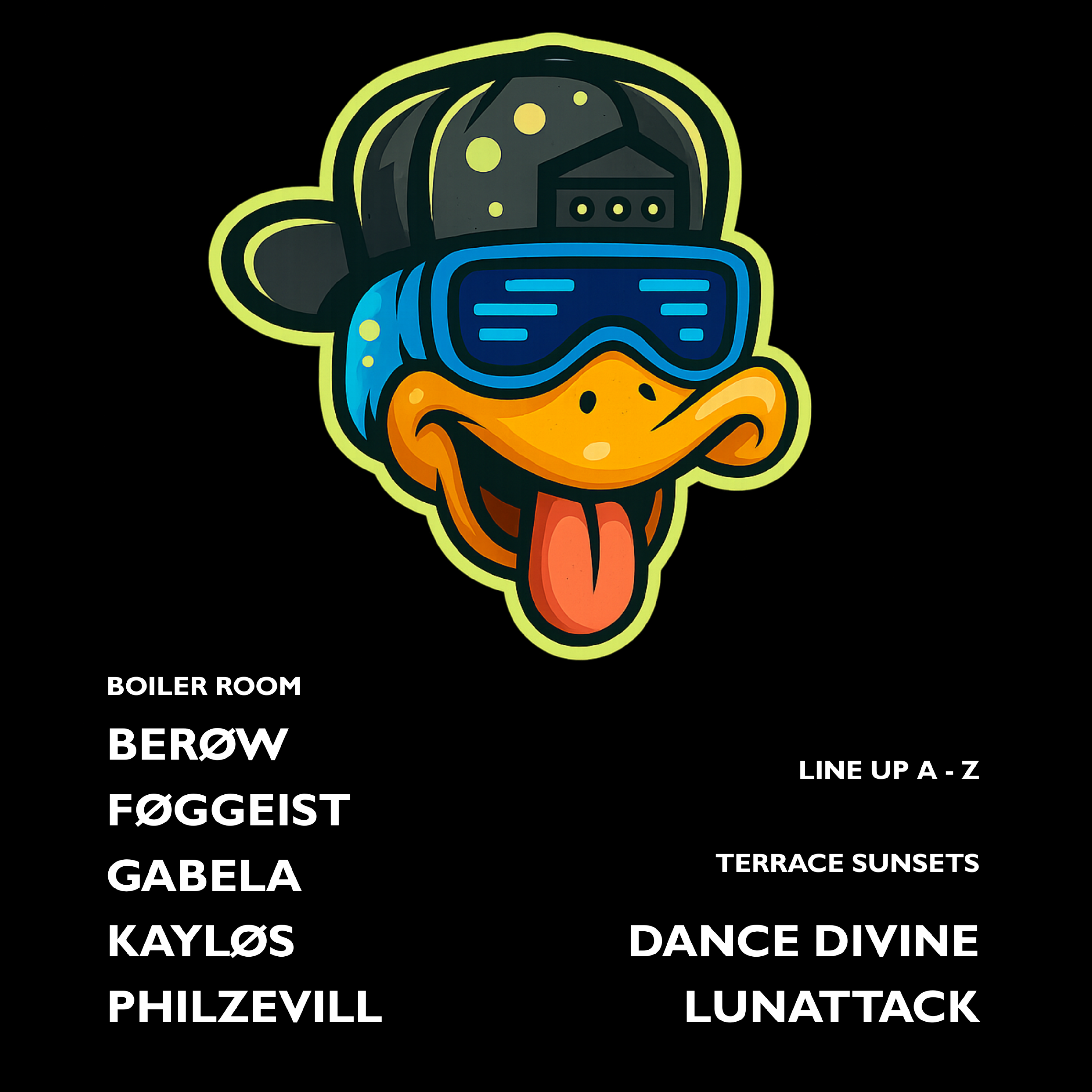 SILENT DUCKS image
