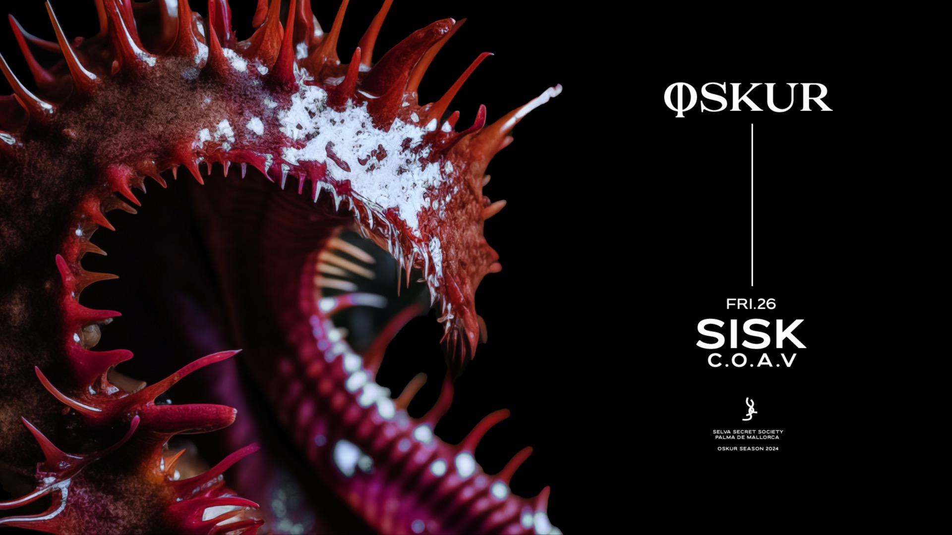 SISK + C.O.A.V. image