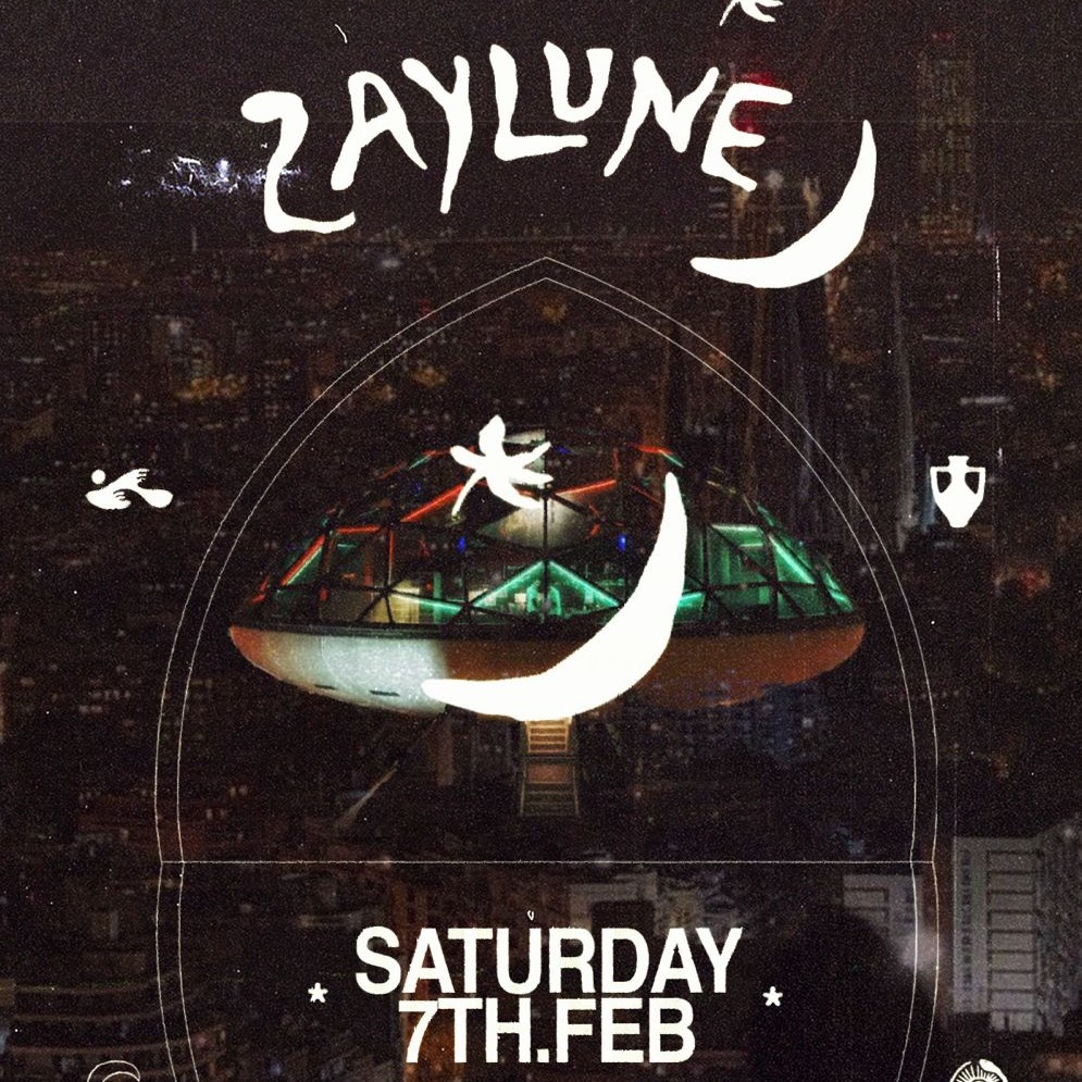 SKYFALL BY ZAYLUNE image