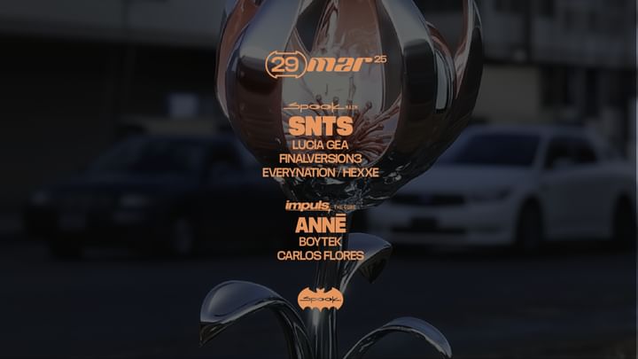 Cover for event: SNTS + Impuls w/ Anne