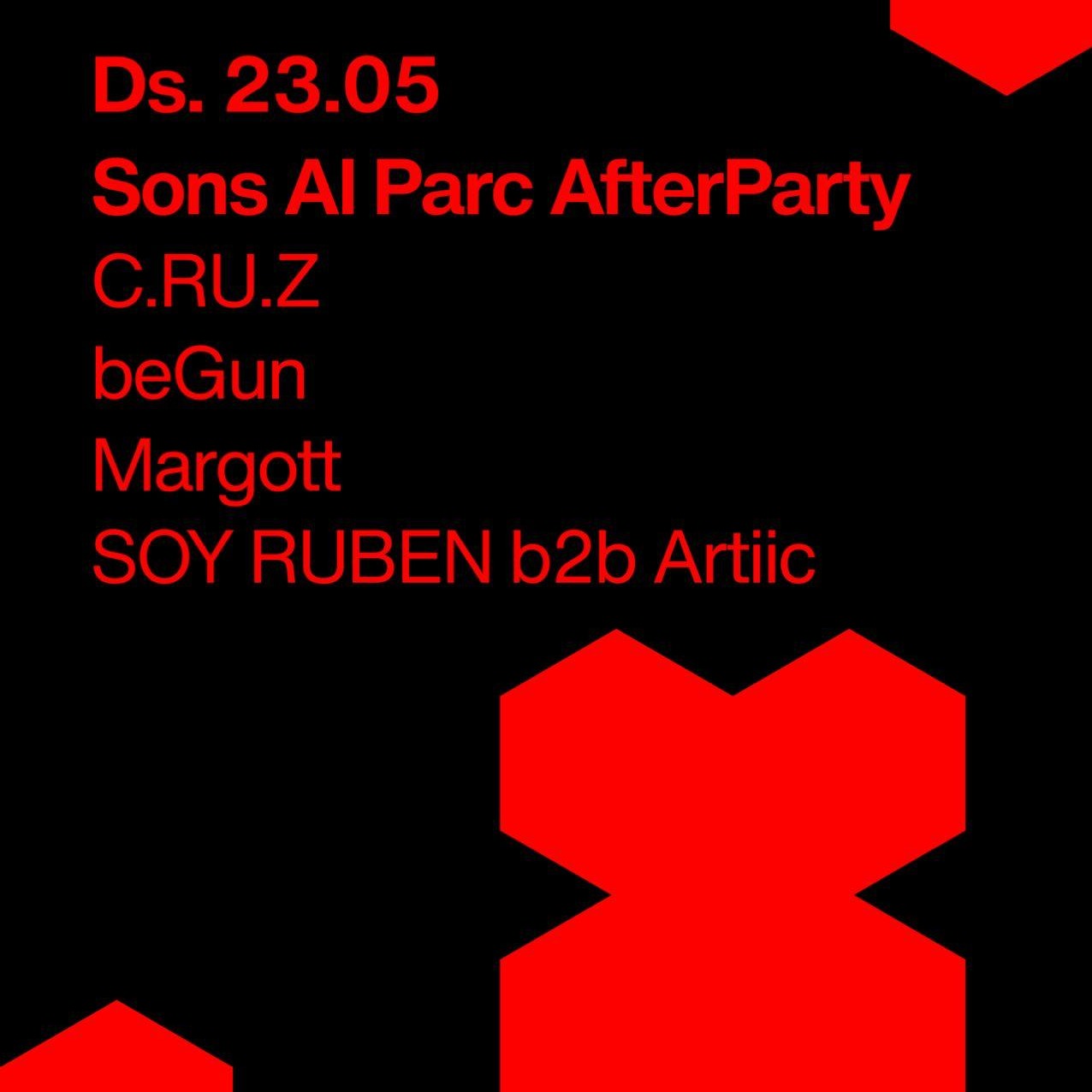 Sons al parc afterparty image