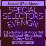 SPECIAL SELECTORS EVENING image