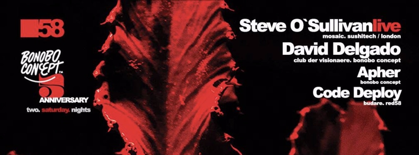 Steve O'Sullivand LIVE - Bonobo Concept | 5th Anniversary Night Two image