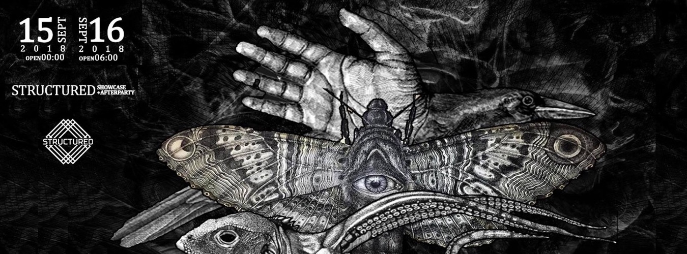 Structured Showcase: M7 Carry On! image