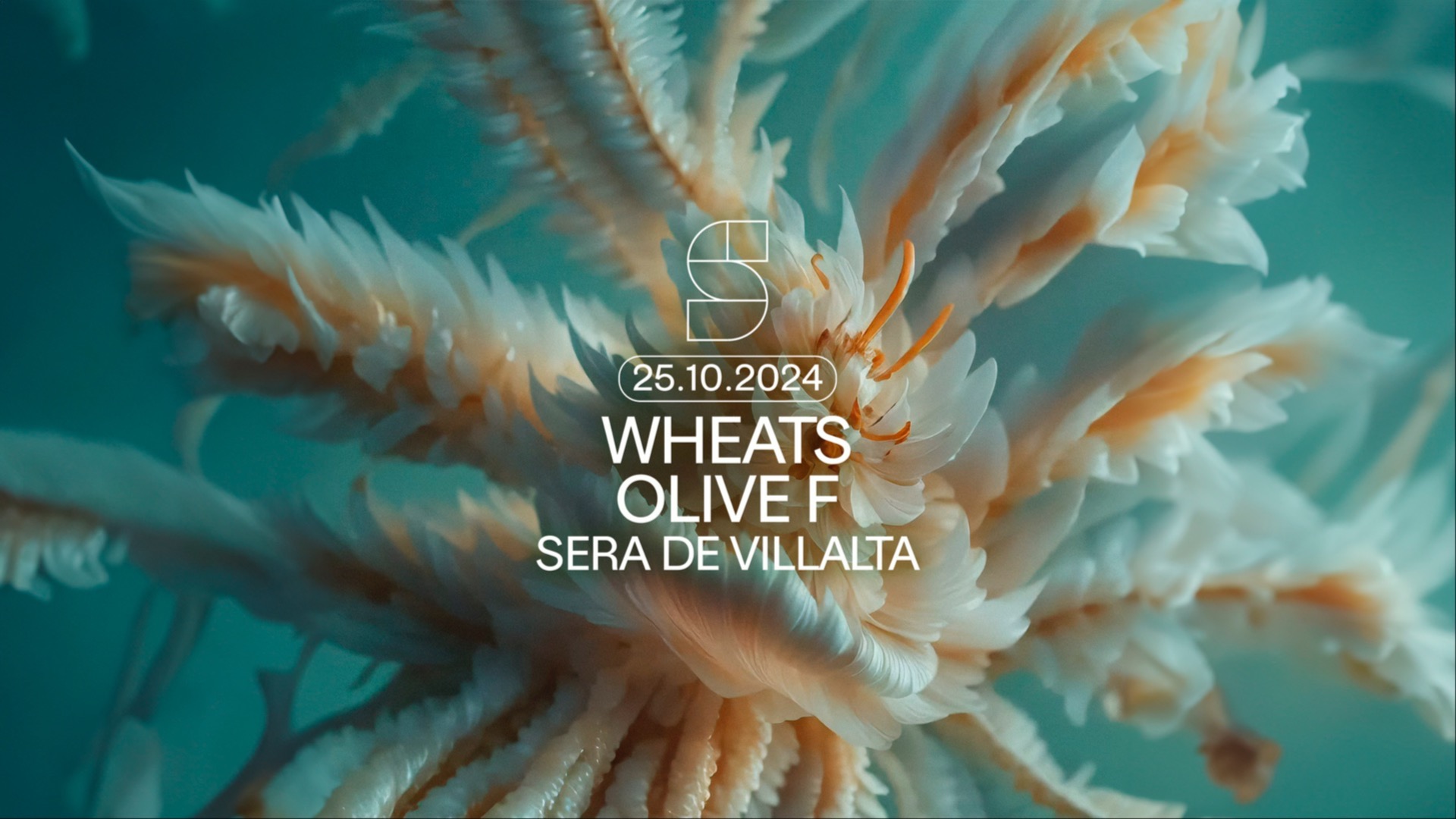 STUDIO present: WHEATS  / OLIVE F / SERA DE VILLALTA image