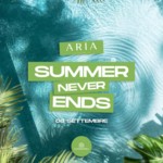 Summer Never Ends image