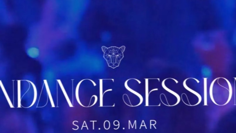 Sundance at Panthera