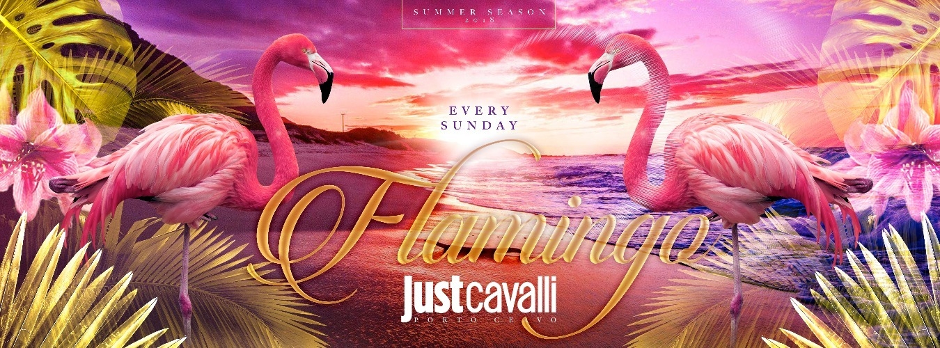 SUNDAY NIGHT - FLAMINGO